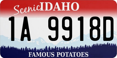 ID license plate 1A9918D