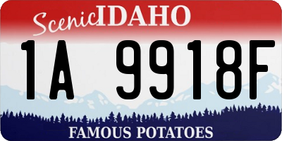 ID license plate 1A9918F