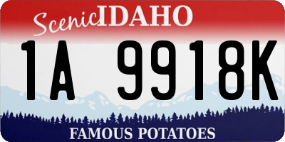 ID license plate 1A9918K