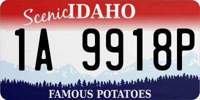 ID license plate 1A9918P