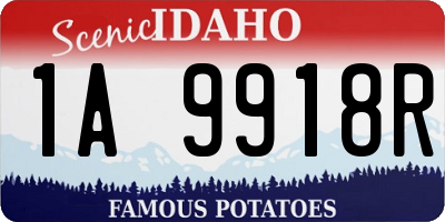 ID license plate 1A9918R