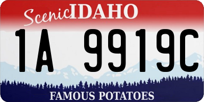 ID license plate 1A9919C