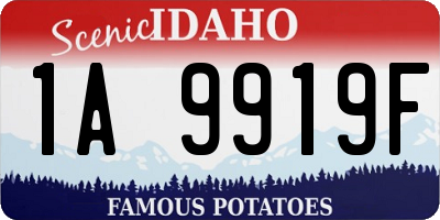 ID license plate 1A9919F