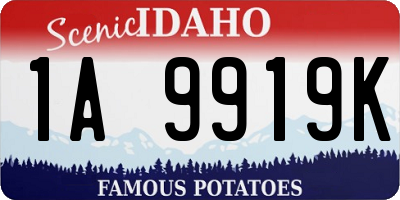 ID license plate 1A9919K