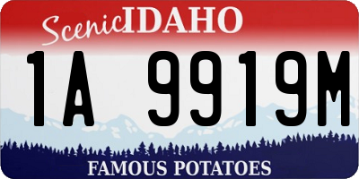 ID license plate 1A9919M