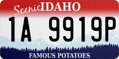 ID license plate 1A9919P
