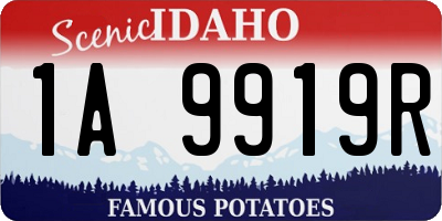 ID license plate 1A9919R