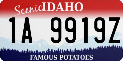 ID license plate 1A9919Z