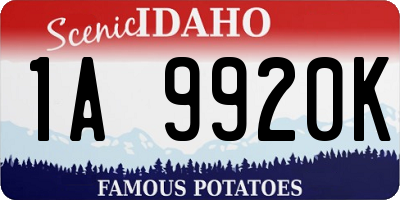 ID license plate 1A9920K