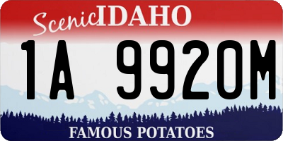ID license plate 1A9920M