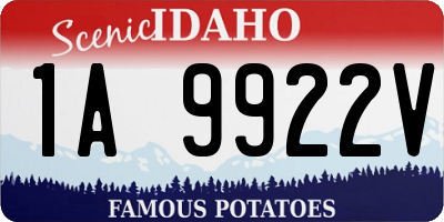 ID license plate 1A9922V