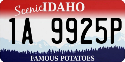 ID license plate 1A9925P