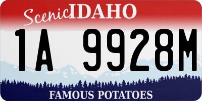ID license plate 1A9928M