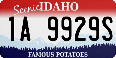 ID license plate 1A9929S