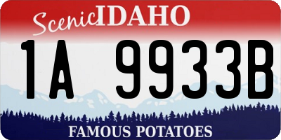 ID license plate 1A9933B