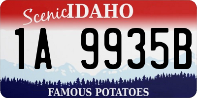 ID license plate 1A9935B