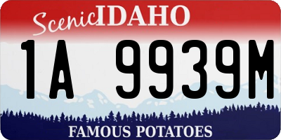 ID license plate 1A9939M