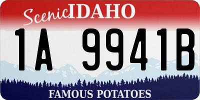 ID license plate 1A9941B