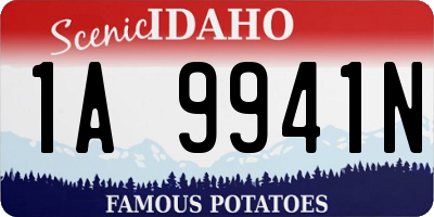 ID license plate 1A9941N