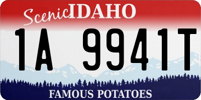 ID license plate 1A9941T