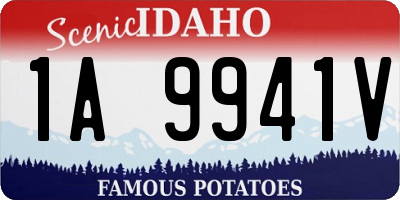ID license plate 1A9941V