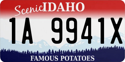 ID license plate 1A9941X