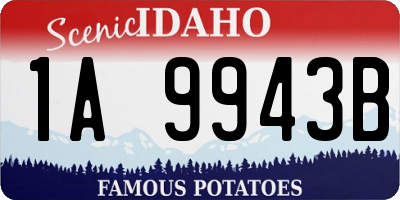 ID license plate 1A9943B
