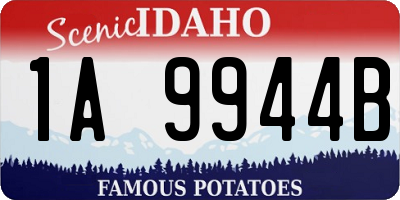 ID license plate 1A9944B