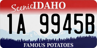 ID license plate 1A9945B