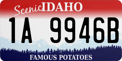 ID license plate 1A9946B