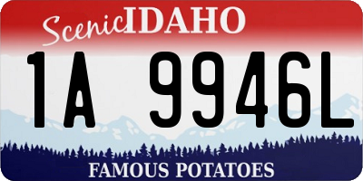 ID license plate 1A9946L