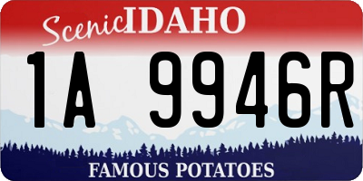 ID license plate 1A9946R