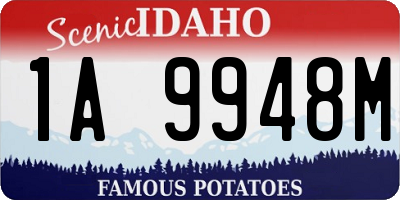 ID license plate 1A9948M