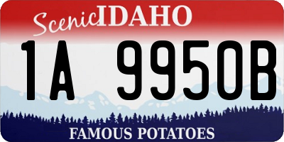 ID license plate 1A9950B