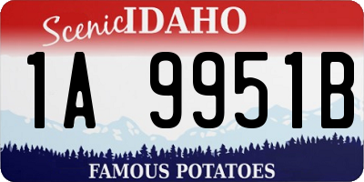 ID license plate 1A9951B