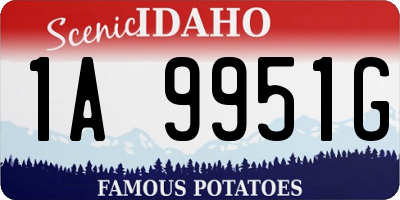 ID license plate 1A9951G