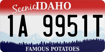 ID license plate 1A9951T