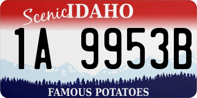 ID license plate 1A9953B