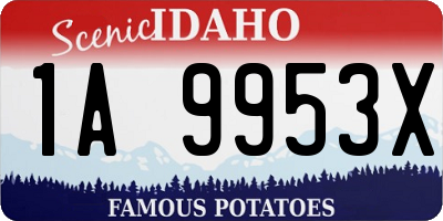 ID license plate 1A9953X