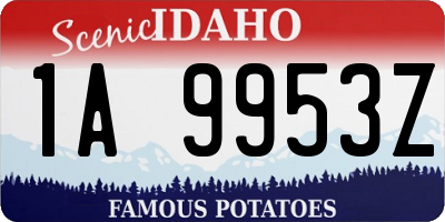 ID license plate 1A9953Z