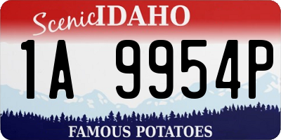 ID license plate 1A9954P