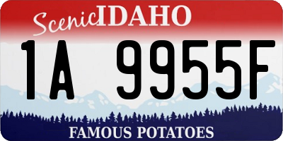 ID license plate 1A9955F
