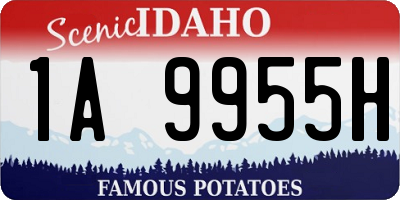 ID license plate 1A9955H