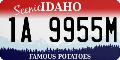 ID license plate 1A9955M