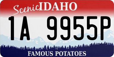 ID license plate 1A9955P