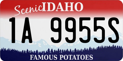 ID license plate 1A9955S