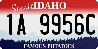 ID license plate 1A9956C