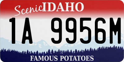ID license plate 1A9956M