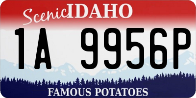 ID license plate 1A9956P