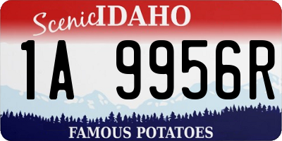 ID license plate 1A9956R